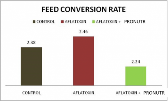 Feed Conversion Rate (FCR) by batches