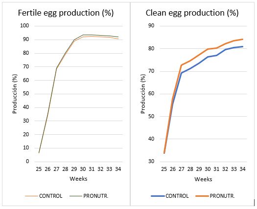 Intestinal conditioner pronutrients: increase in egg production