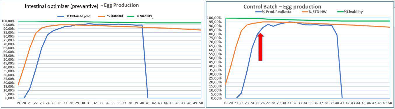 Control batch VS pronutrient batch Control batch VS pronutrient batch