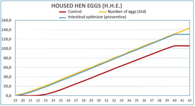 Number of eggs per bird housed in both study lots Number of eggs per bird housed in both study lots