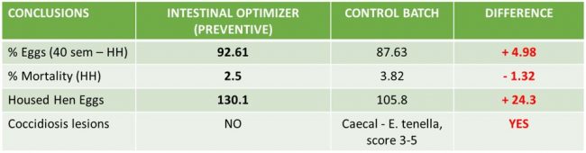 Productive parameters and related to coccidiosis Productive parameters and related to coccidiosis