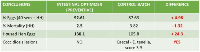 Productive parameters and related to coccidiosis