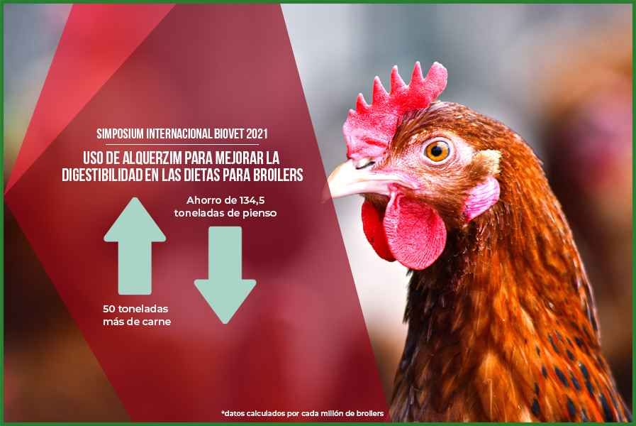 Use of Alquerzim to improve digestibility in broilers diets