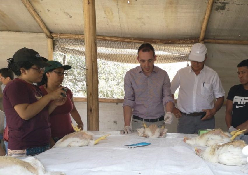 Biovet S.A. conducts technical training sessions in poultry companies of Peru