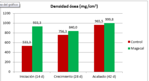 Mejora la absorción de calcio y prevención de la fragilidad ósea gracias a Alquernat Magacal