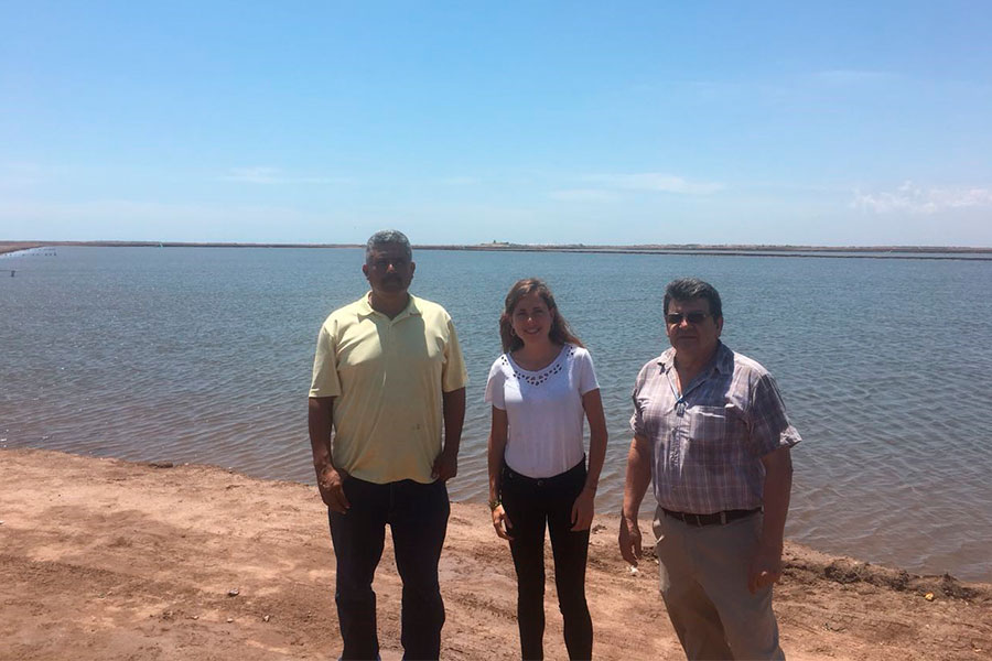 A technical-commercial team from Biovet visits a shrimp farm (Penaeus Vannamei)in Mexico in July