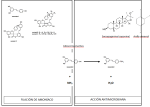 Alquernat Yucca L Plus, nuevo producto de Biovet S.A