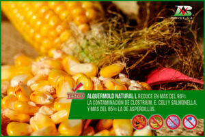 Alquermold Natural L reduces the contamination of Clostridium, E. coli and Salmonella by more than 96%