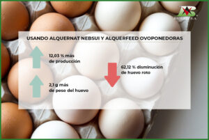 Los pronutrientes mejoran el peso y la calidad de la cáscara de los huevos