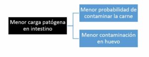 Alquermold natural para el control de la contaminación microbiológica en alimentos de origen animal