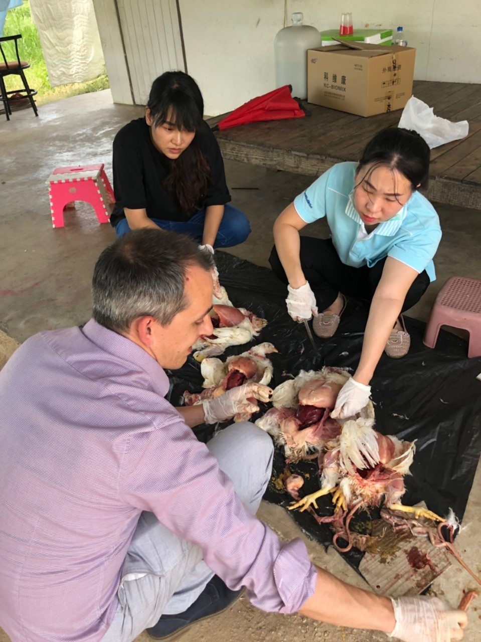 Technical visits in poultry companies in Thailand