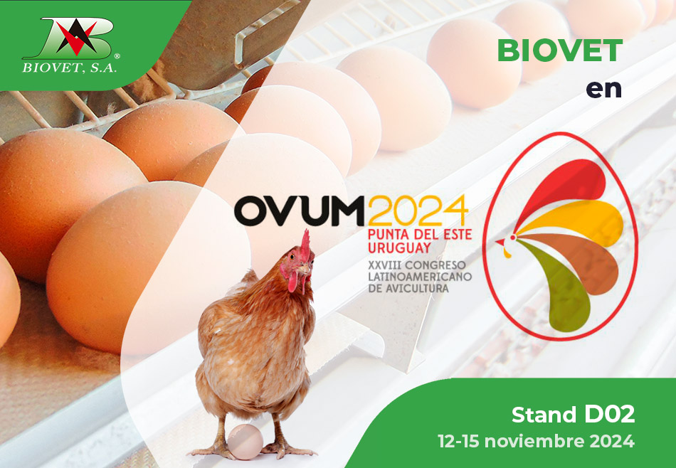 OVUM 2024 está a la vuelta de la esquina! Te esperamos en el Stand D02