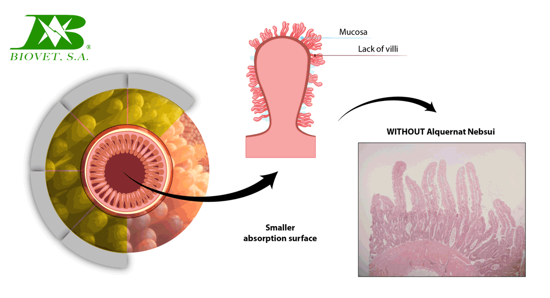 What can epigenetics do for the conversion rate?