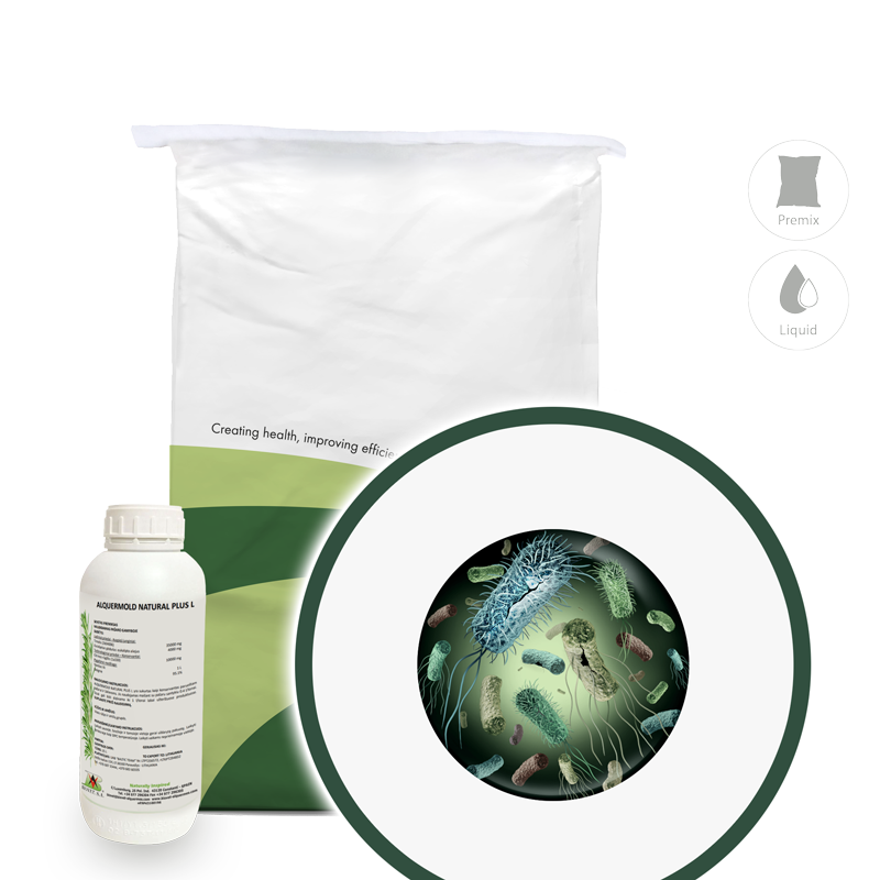 Alquermold Natural PLUS