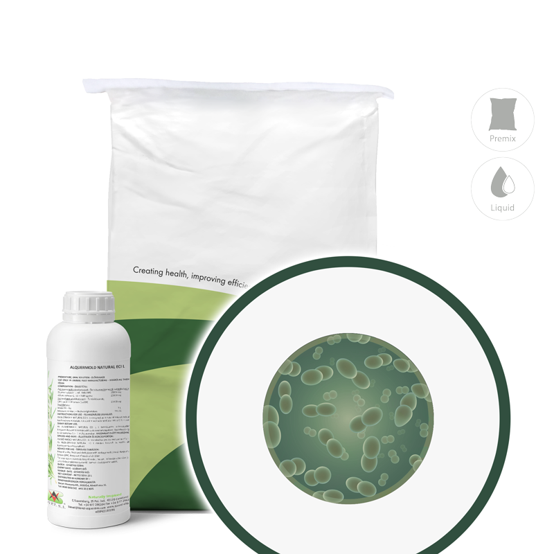 Alquermold Natural ECI