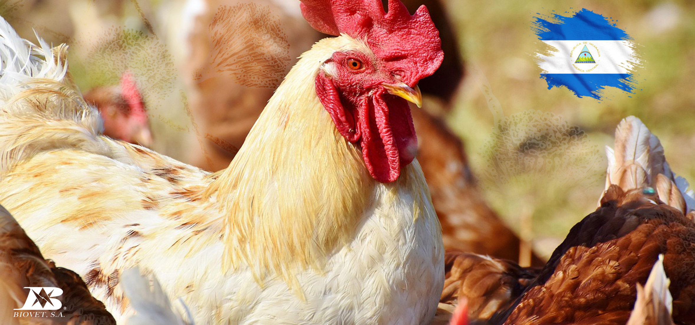 Biovet S.A. refuerza la colaboración técnica en Nicaragua