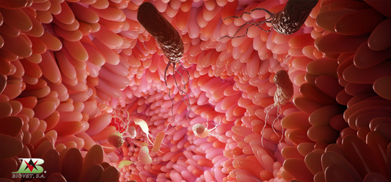 compuestos naturales con actividad antimicrobiana selectiva frente a patógenos