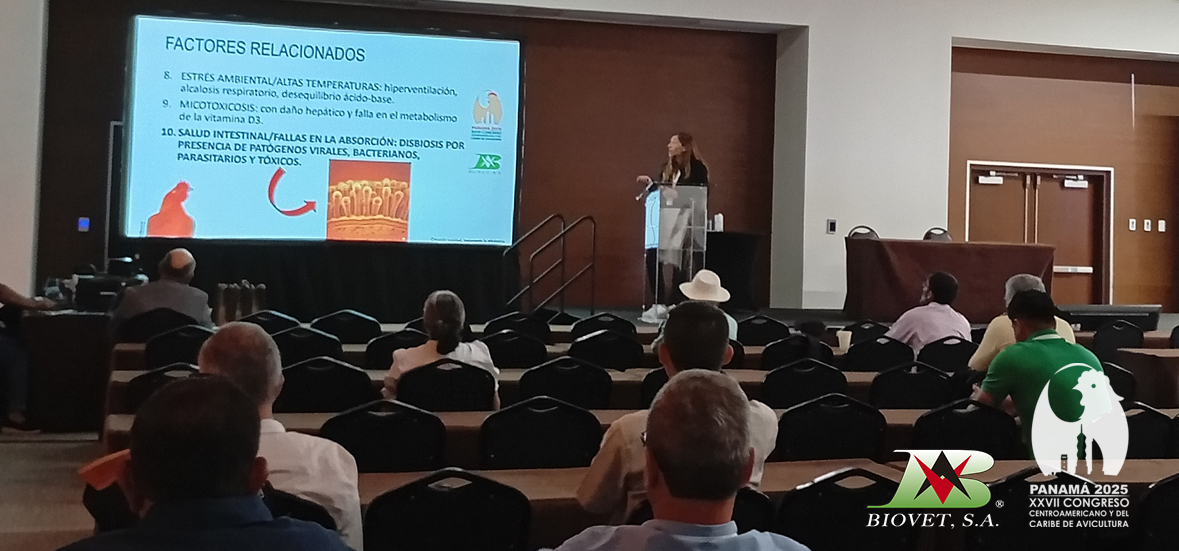 Biovet S.A. presenta en Panamá los beneficios de los pronutrientes para la fisiología ósea en aves
