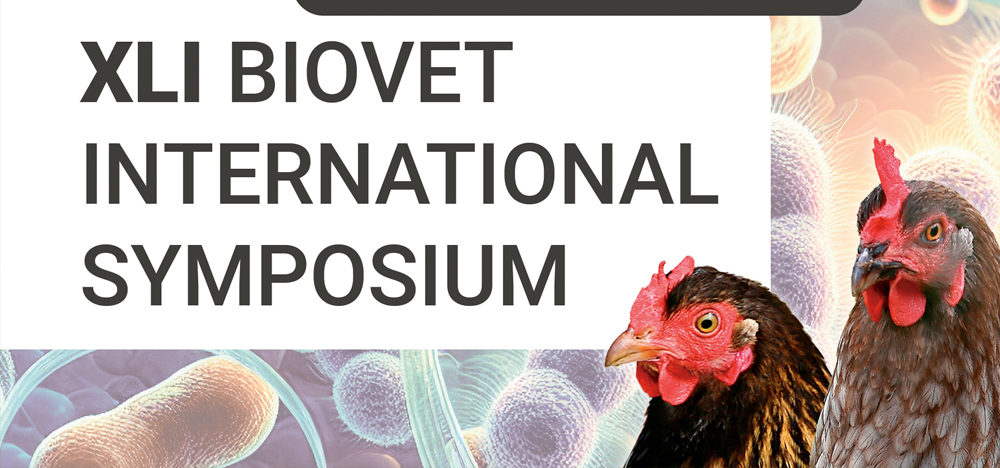 XLI International Symposium - 2025