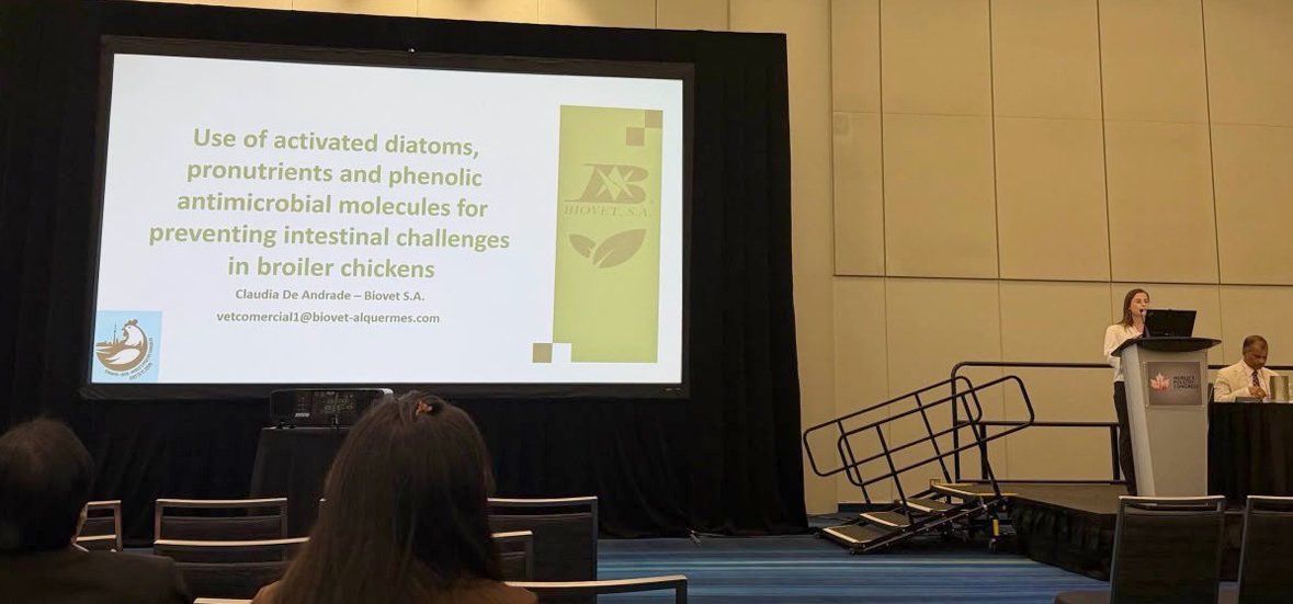 La presencia de Biovet en el WPC 2026 refuerza su compromiso con la investigación aplicada, la innovación en nutrición animal y el desarrollo de soluciones naturales para una avicultura más saludable, eficiente y sostenible.