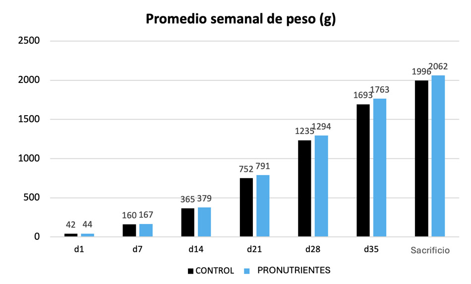 Promedio semanal de peso