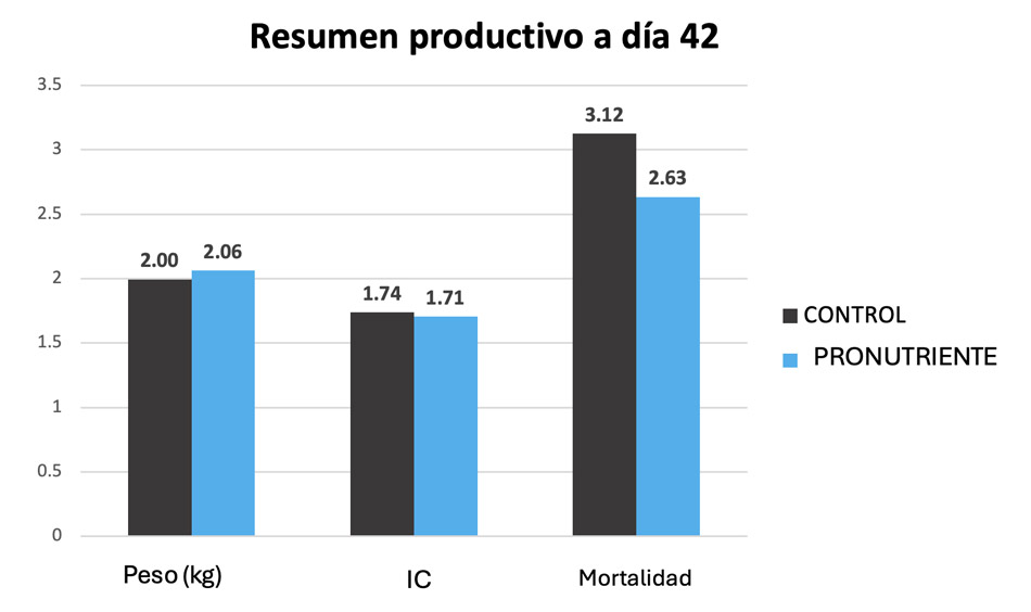 resumen productivo a día 42