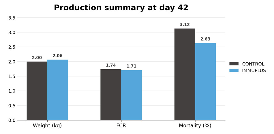 production summary at day 42