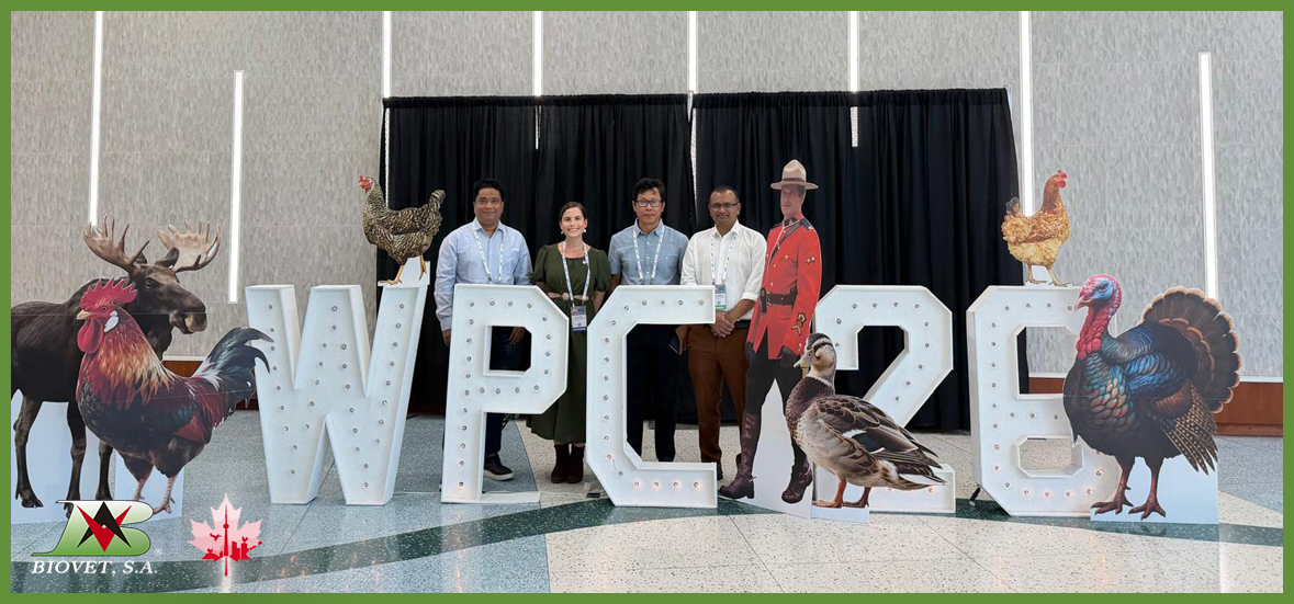 Biovet S.A. shares its advances in poultry intestinal health at WPC 2026