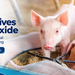 Alternatives to zinc oxide + porcine