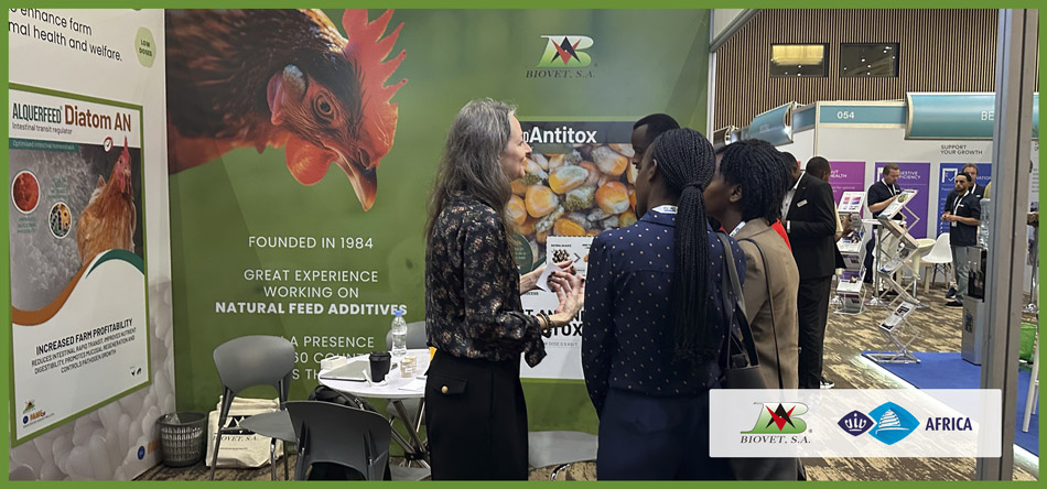 VIV Africa 2026: reforzando conexiones con un sector de la producción animal en plena evolución